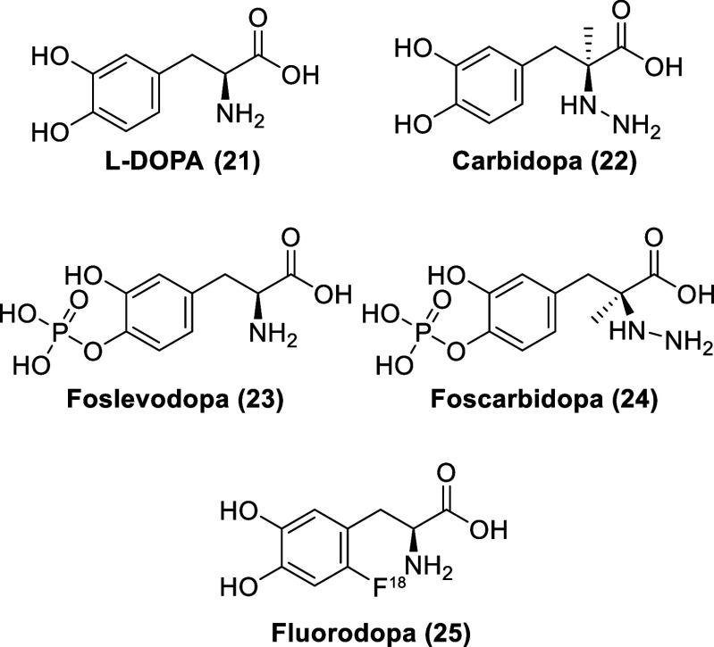 PMC11320586 – fig5