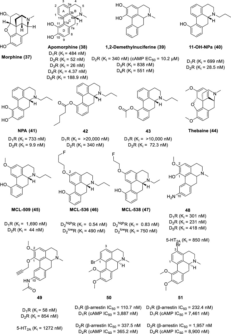 PMC11320586 – fig9