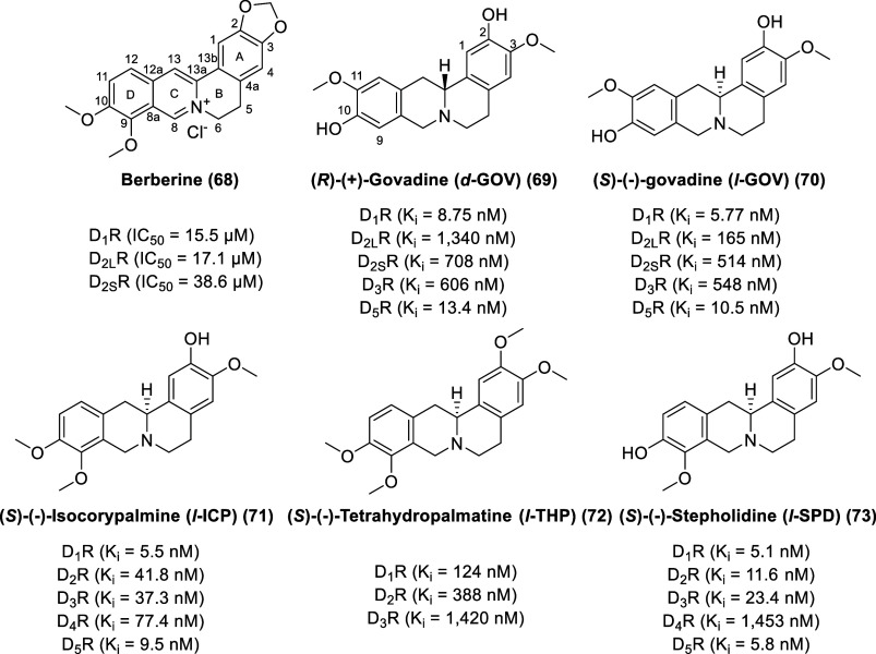 PMC11320586 – fig13