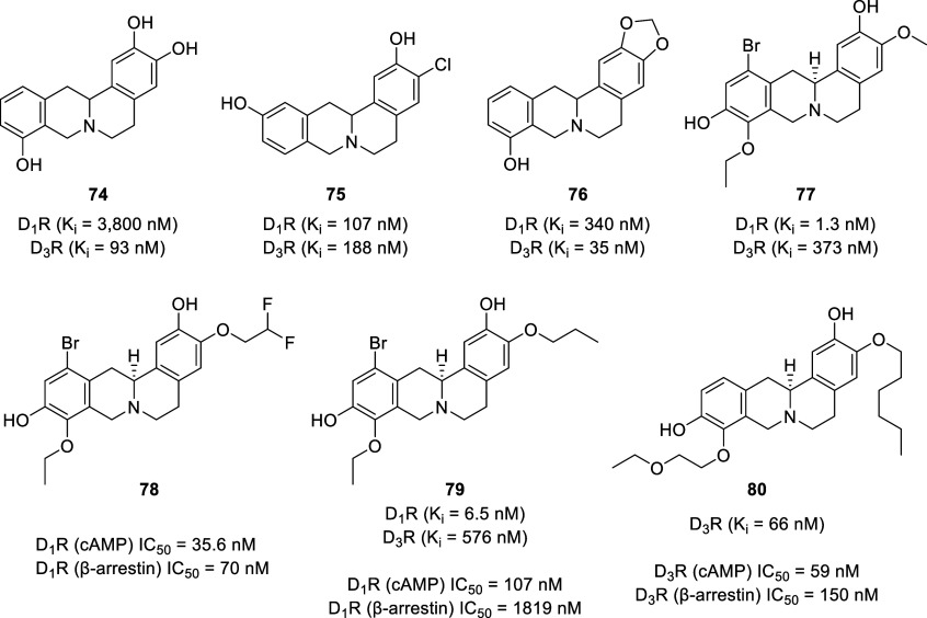 PMC11320586 – fig14