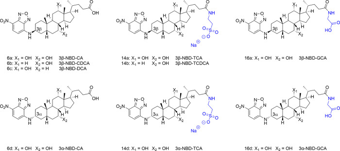 PMC12169615 – fig1