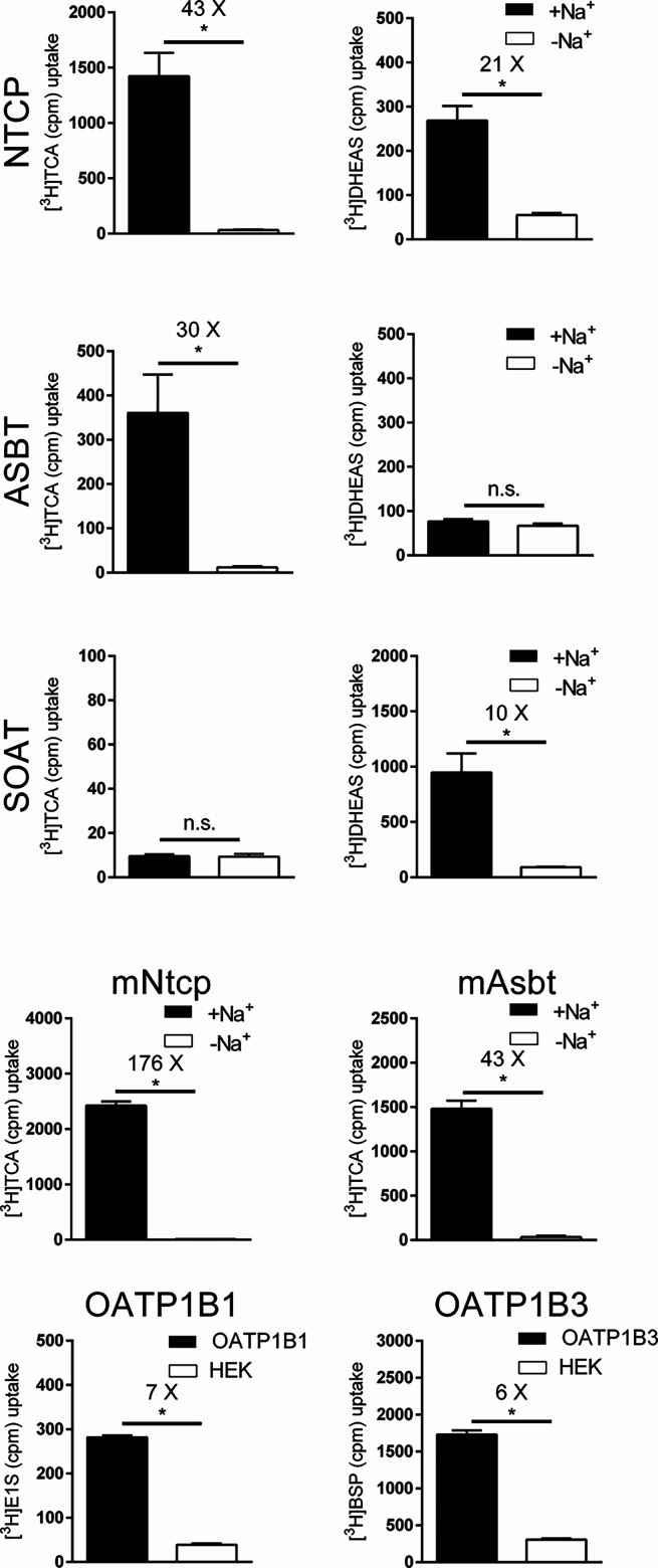 PMC12169615 – fig3