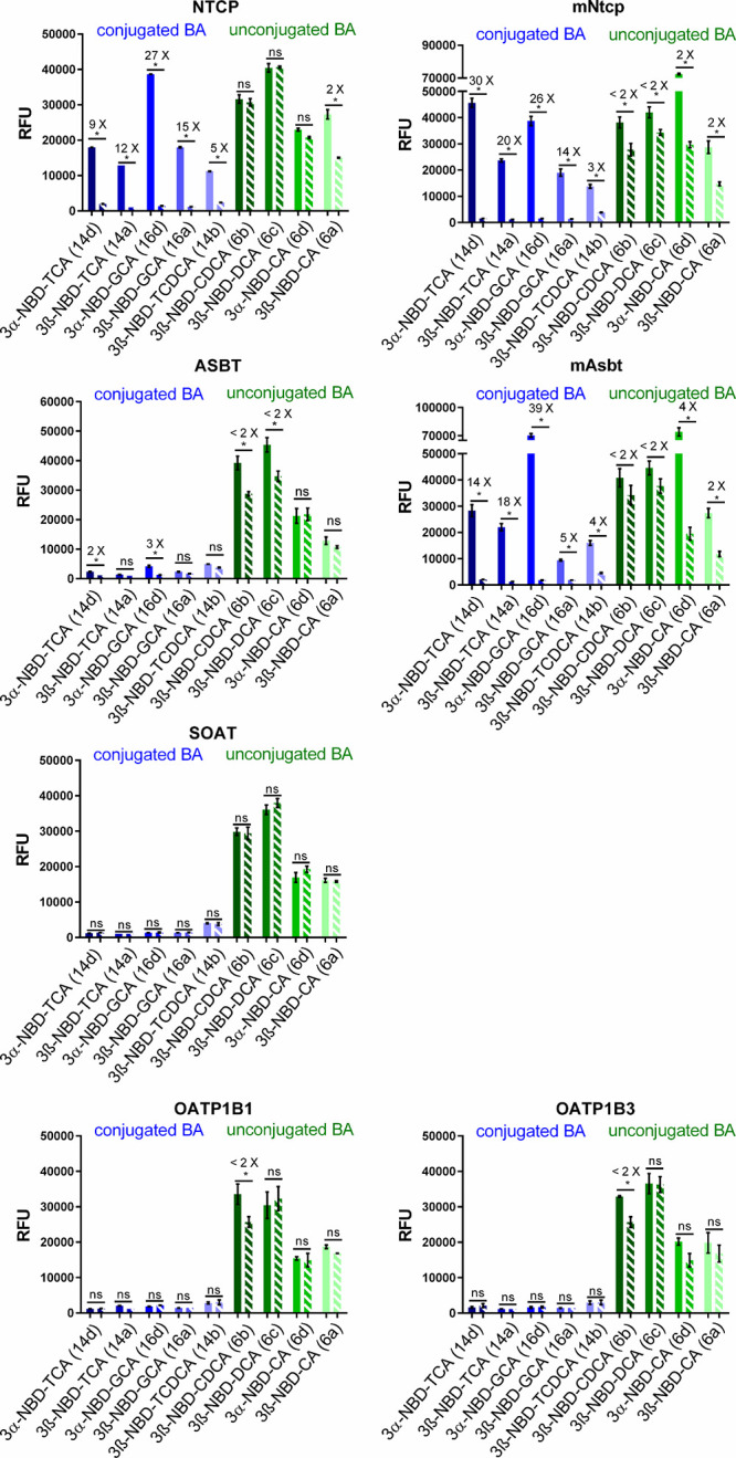 PMC12169615 – fig5