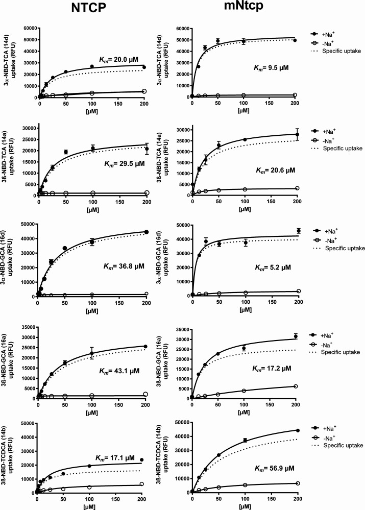 PMC12169615 – fig6