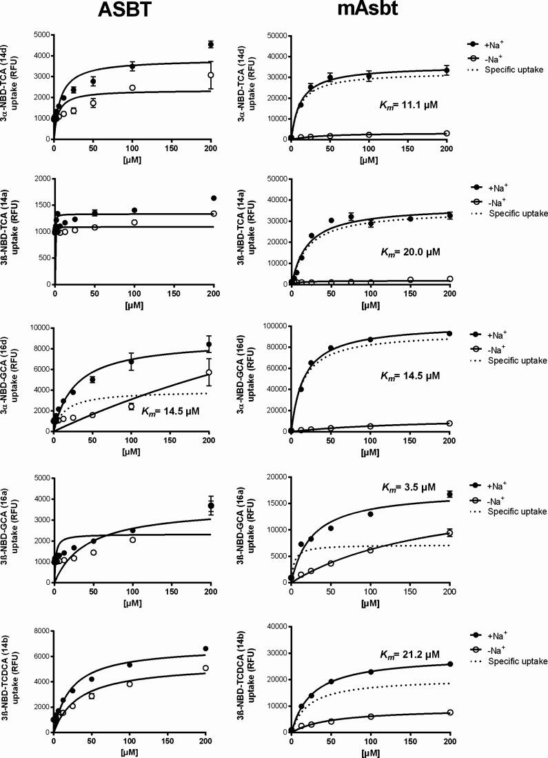 PMC12169615 – fig7