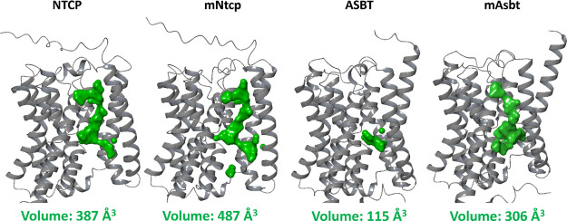 PMC12169615 – fig8