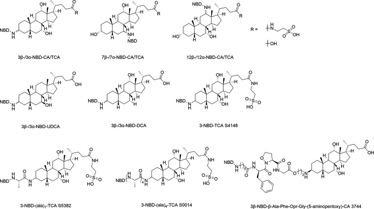 PMC12169615 – fig11