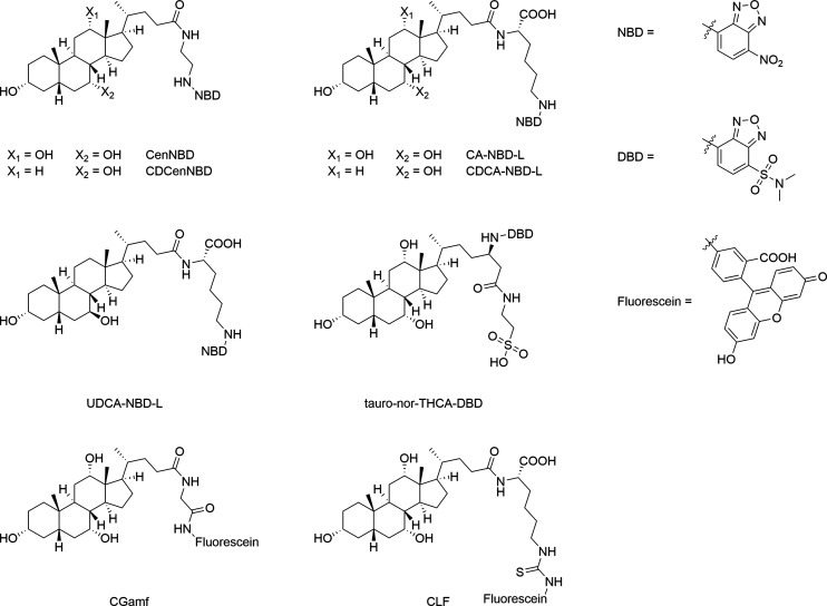 PMC12169615 – fig12