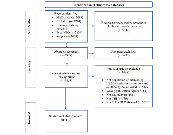 PMC11653051 – figure1