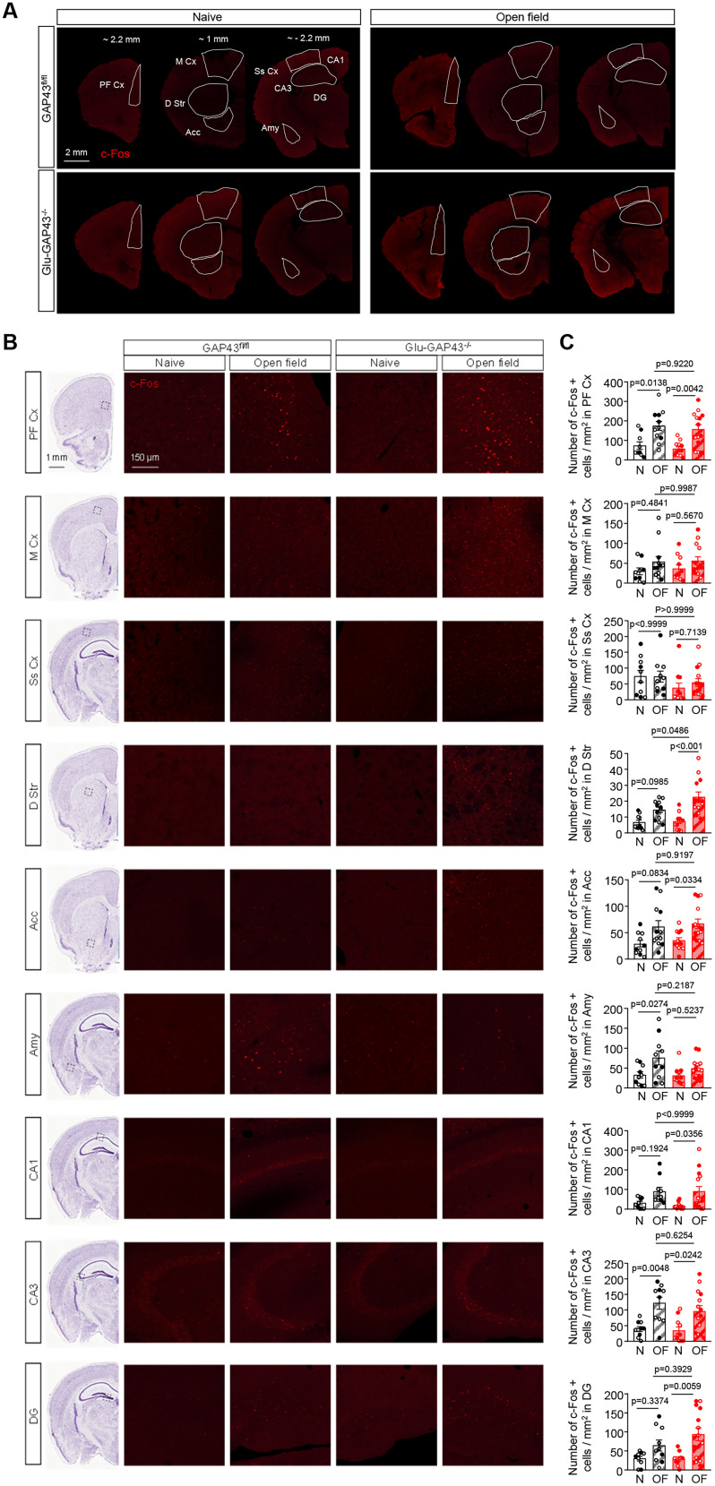 PMC11426381 – JN-RM-0701-24F3