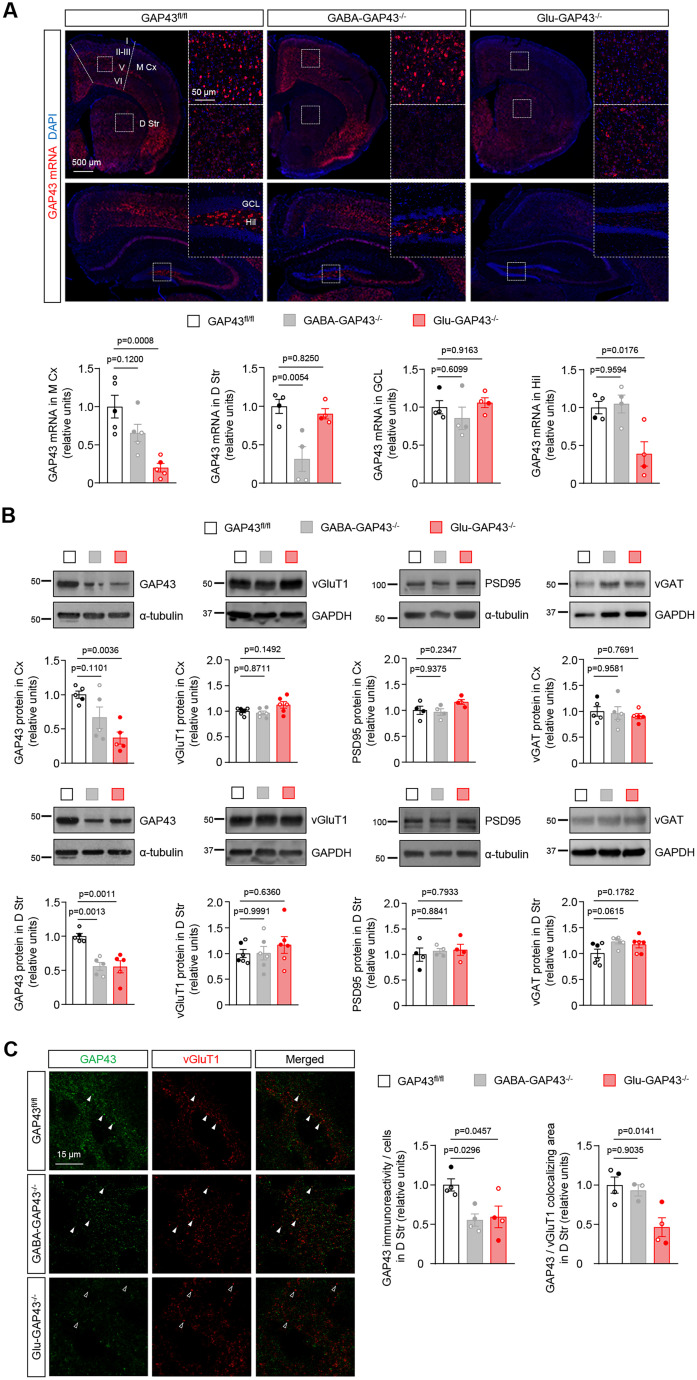 PMC11426381 – JN-RM-0701-24F4