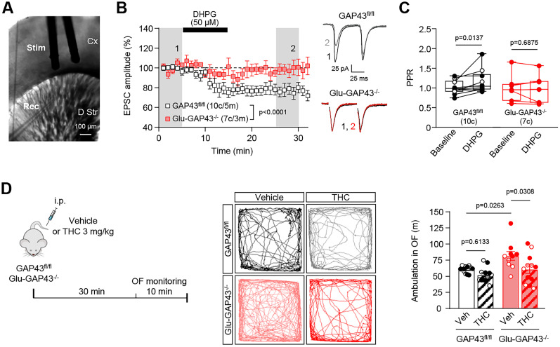 PMC11426381 – JN-RM-0701-24F5