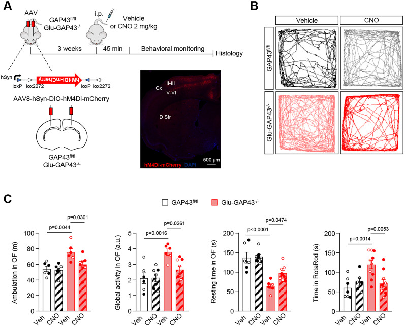 PMC11426381 – JN-RM-0701-24F7