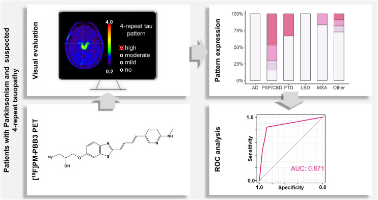 PMC12175977 – absf1