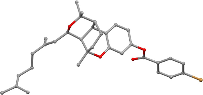 PMC9087200 – fig1