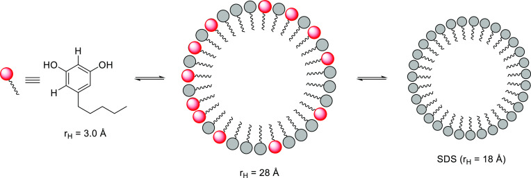 PMC9087200 – fig2