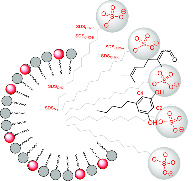 PMC9087200 – fig4