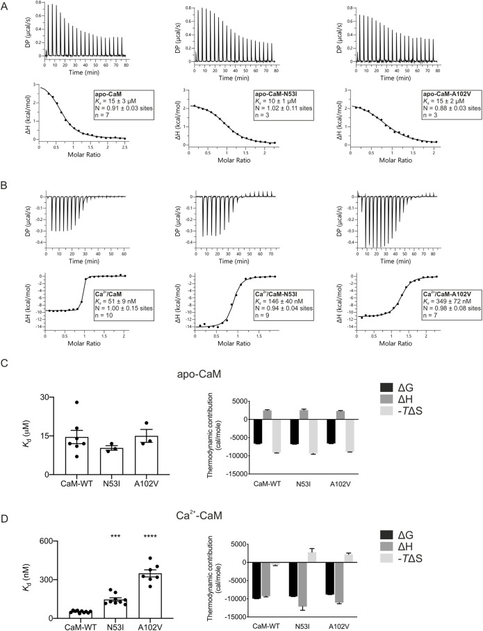PMC8917356 – JCS258796F1