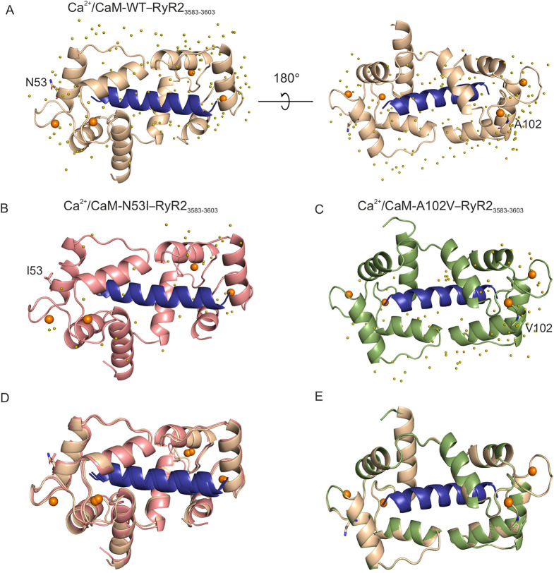 PMC8917356 – JCS258796F3