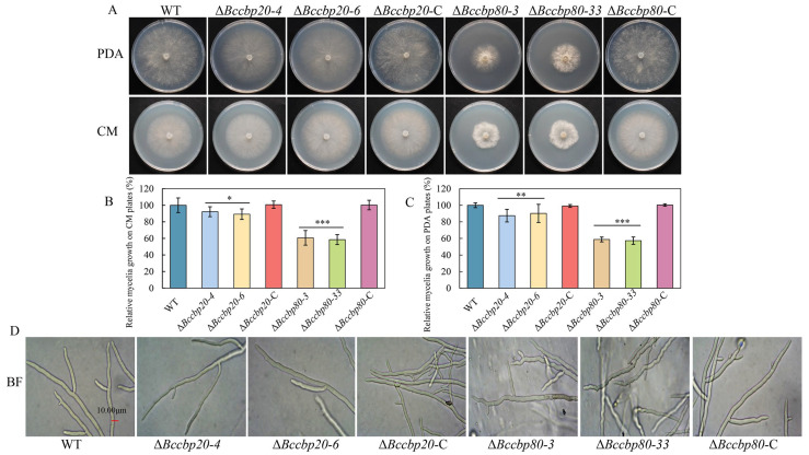 PMC12194085 – jof-11-00429-f003