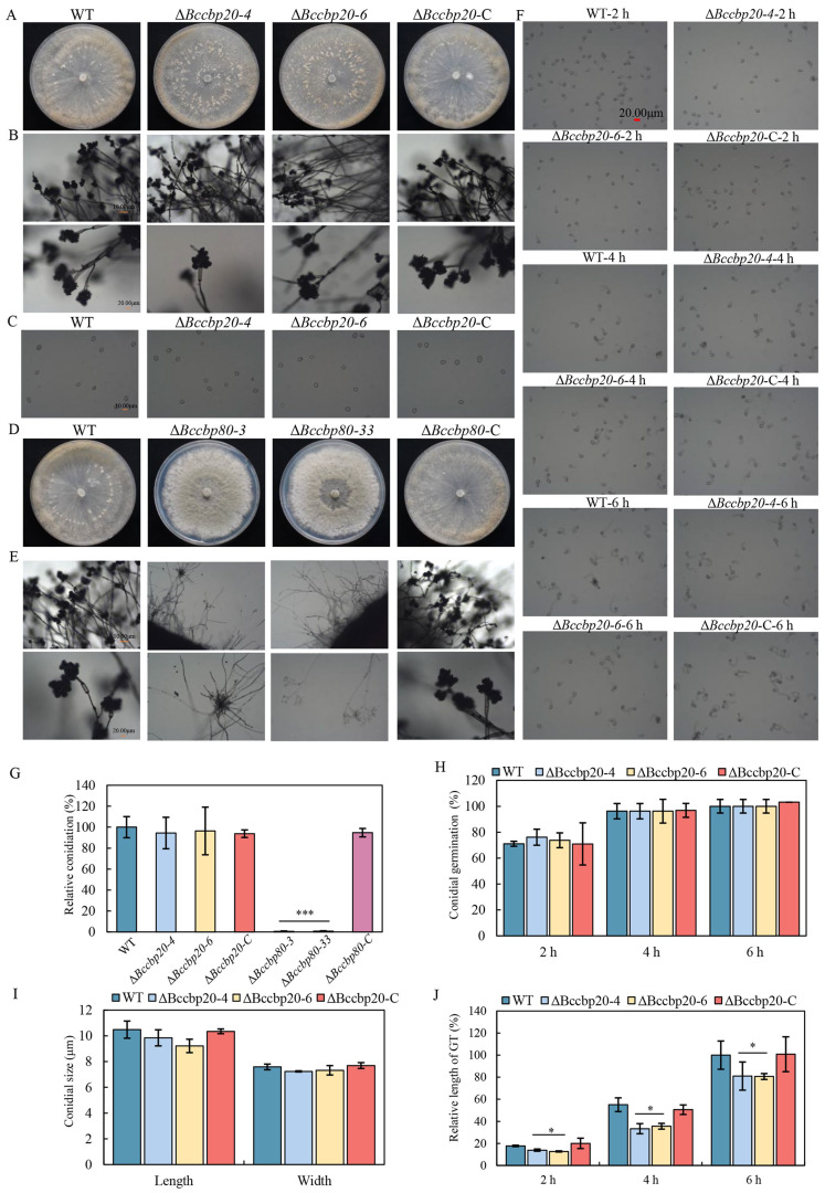 PMC12194085 – jof-11-00429-f004