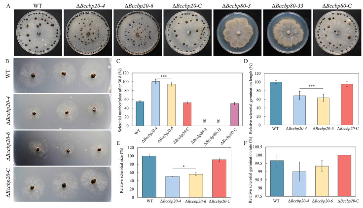 PMC12194085 – jof-11-00429-f005