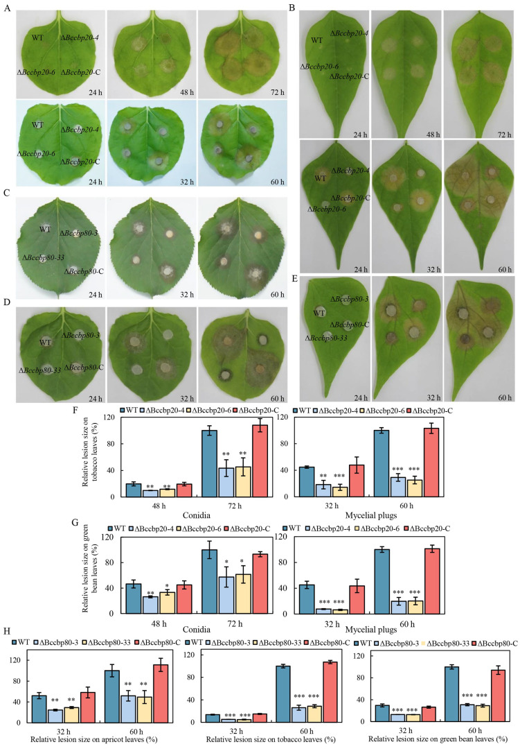 PMC12194085 – jof-11-00429-f006