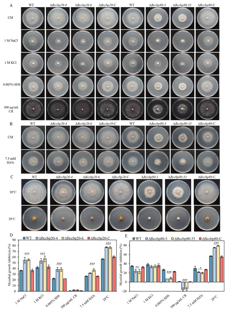 PMC12194085 – jof-11-00429-f007