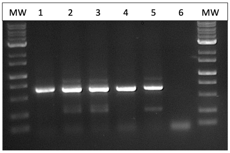 PMC12296103 – jof-11-00528-f004
