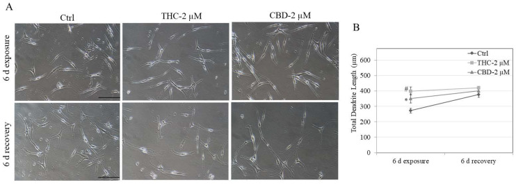 PMC9224588 – jox-12-00012-f004