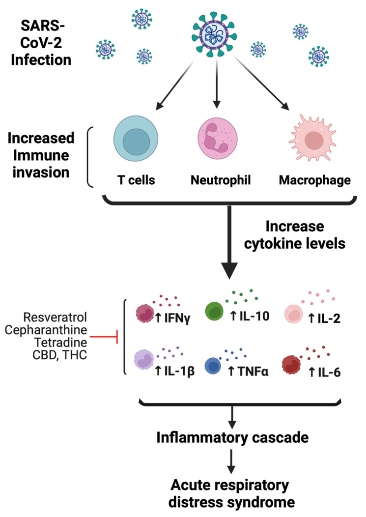 PMC9589987 – jox-12-00020-f004