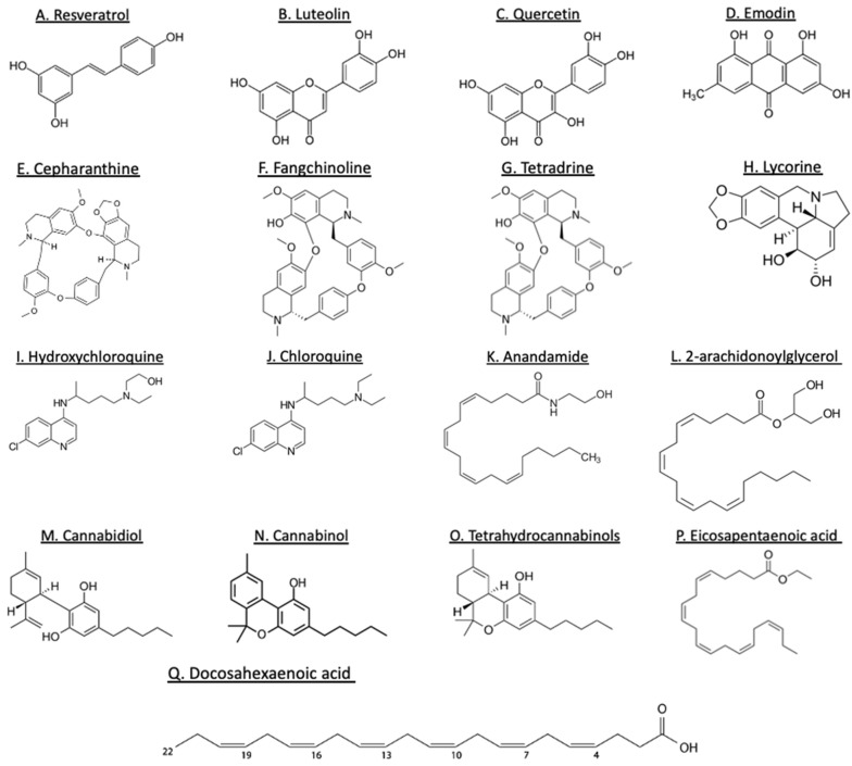 PMC9589987 – jox-12-00020-f005