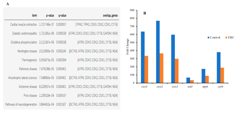 PMC10303197 – jox-13-00018-f004