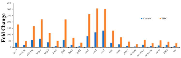 PMC10303197 – jox-13-00018-f005