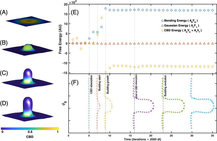 PMC13071920 – fig6