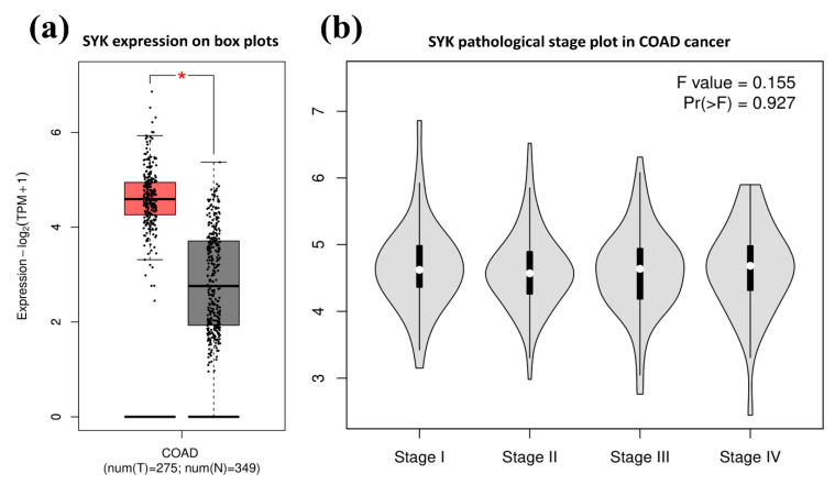 PMC8470848 – jpm-11-00888-f003