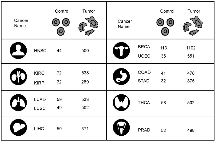 PMC9695992 – jpm-12-01919-f002