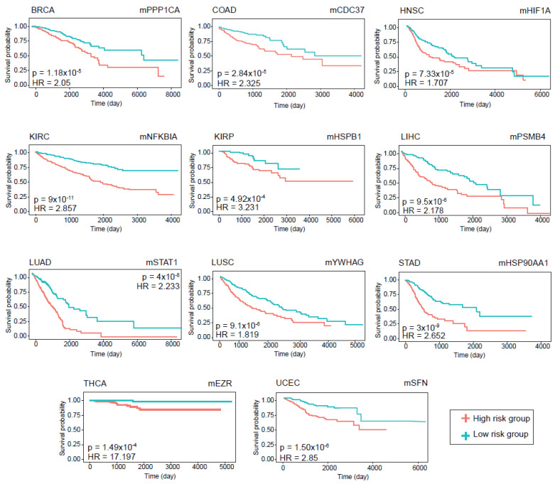 PMC9695992 – jpm-12-01919-f006