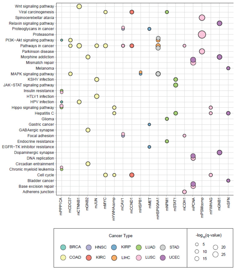 PMC9695992 – jpm-12-01919-f007