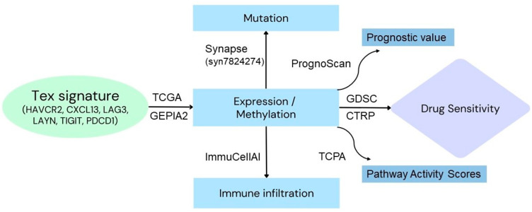 PMC11278172 – jpm-14-00765-f001