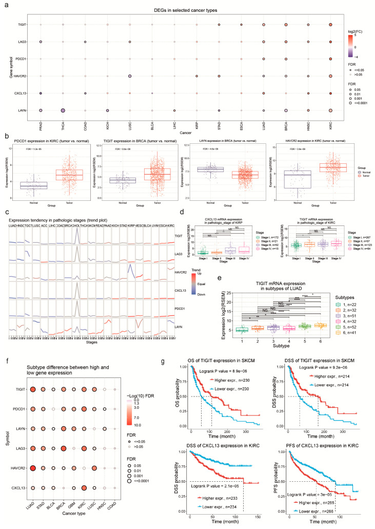 PMC11278172 – jpm-14-00765-f002