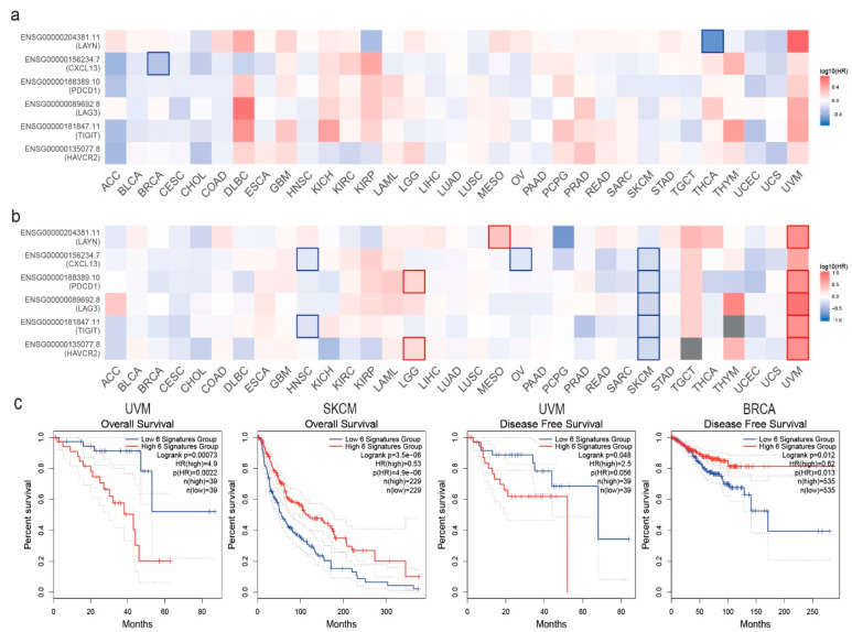 PMC11278172 – jpm-14-00765-f003