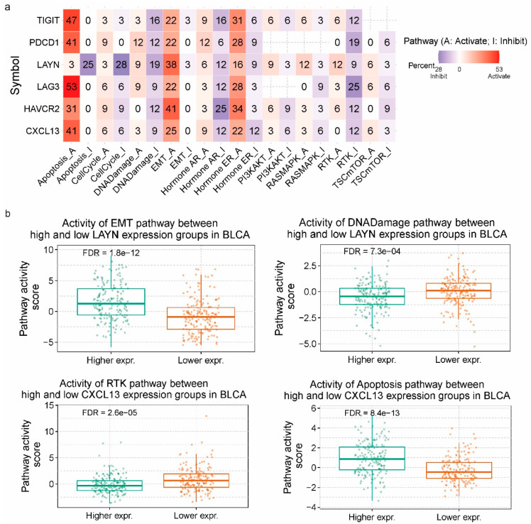 PMC11278172 – jpm-14-00765-f004