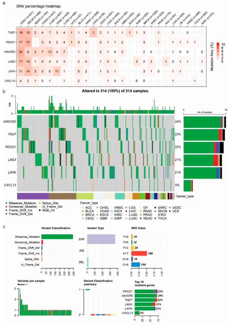 PMC11278172 – jpm-14-00765-f006