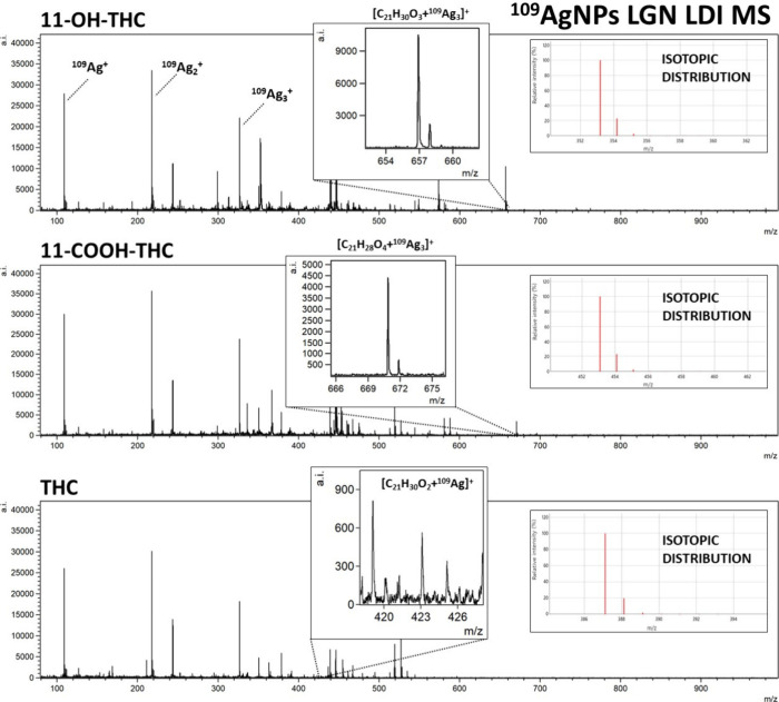 PMC11157659 – fig2