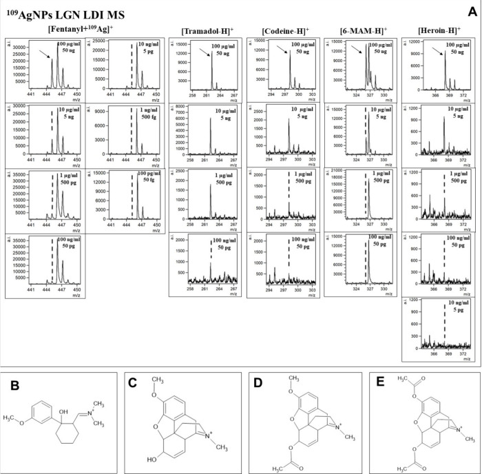 PMC11157659 – fig6