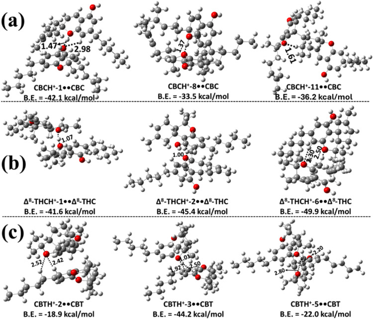 PMC13047696 – fig5