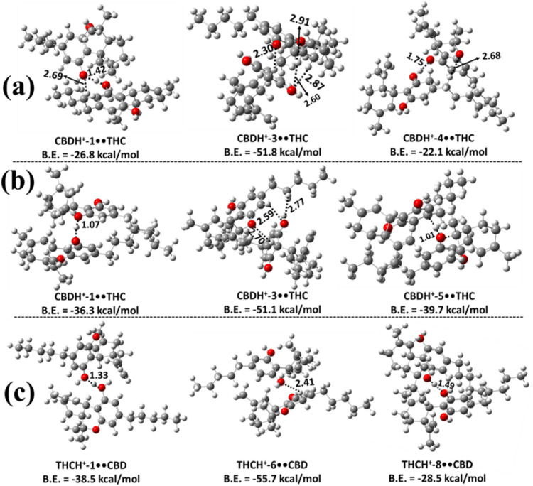 PMC13047696 – fig6