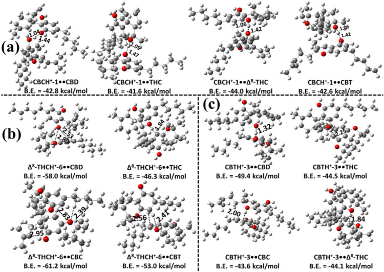 PMC13047696 – fig8