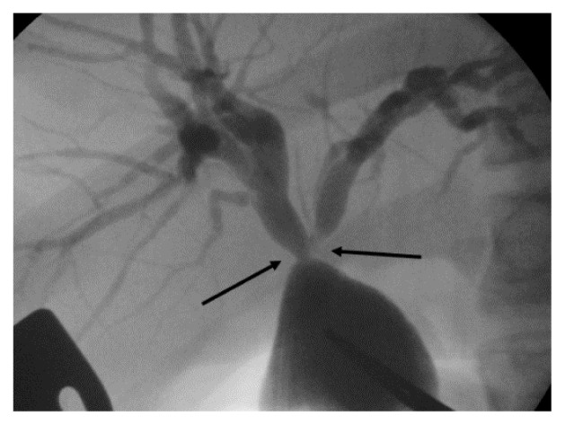 PMC11758900 – f3-kobej-70-e100